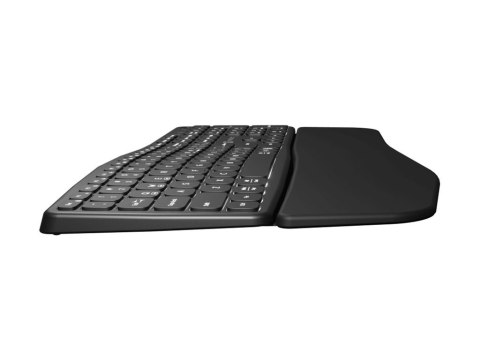 Natec PORIFERA - Klawiatura - full size - podświetlenie - bezprzewodowa - 2.4 GHz, Bluetooth - QWERTY - US - czarny