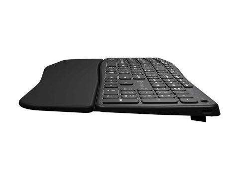 Natec PORIFERA - Klawiatura - full size - podświetlenie - bezprzewodowa - 2.4 GHz, Bluetooth - QWERTY - US - czarny