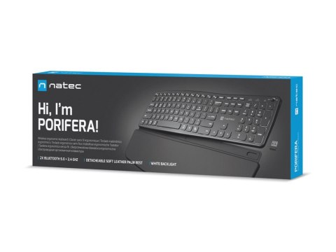 Natec PORIFERA - Klawiatura - full size - podświetlenie - bezprzewodowa - 2.4 GHz, Bluetooth - QWERTY - US - czarny