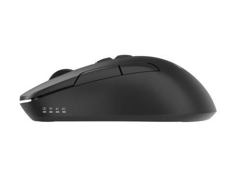 Gembird MUSW2-7B-01 - Mysz - tryb podwójny - prawo i leworęczna - optyczna - 7 przyciski - bezprzewodowa - 2.4 GHz, Bluetooth - 