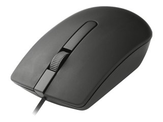Tracer OFFI - Mysz - ergonomiczna - prawo i leworęczna - optyczna - 3 przyciski - przewodowa - USB - czarny