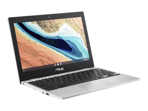 ASUS Chromebook CB1 CB1101CMA-GJ0021 - Intel Celeron - N4120 / do 2.6 GHz - Chrome OS (z Chrome Enterprise Upgrade) - UHD Graphi
