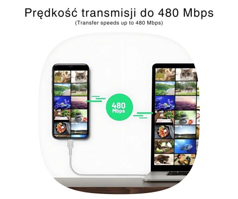 PRZEWÓD KABGC100PS200PB USB-C/USB-C PowerStream 2.0 m Green Cell
