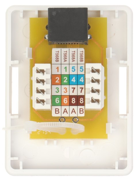 GNIAZDO KOŃCOWE RJ45-G1/6