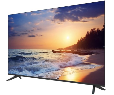 MONITOR VGA, HDMI, AUDIO LM55-F400N 55 " - 4K UHD DAHUA