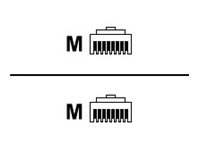 ABL - Kabel krosowy - RJ-45 (M) do RJ-45 (M) - 12.2 m - UTP - CAT 5 - szary