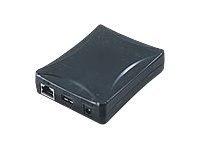 Brother PS-9000 - Serwer wydruków - USB - 10/100 Ethernet - dla Brother QL-1050 TypeA, QL-550, QL-650TD; P-Touch PT-2420PC, PT-9