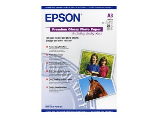 Epson Premium - Połyskujące - A3 (297 x 420 mm) - 255 g/m² - 20 arkusz(-y) papier fotograficzny - dla Expression Photo XP-970; S