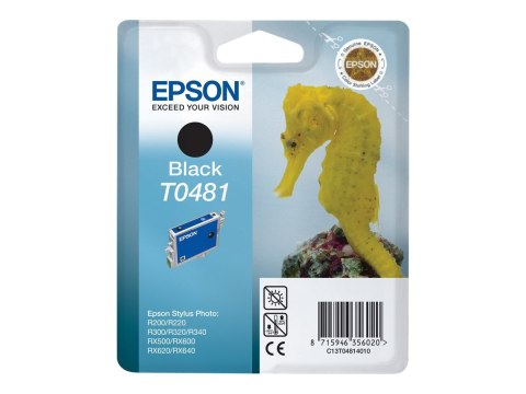 Epson T0481 - 13 ml - czarny - oryginał - kopuła - pojemnik na tusz - dla Stylus DX3800; Stylus Photo R200, R220, R300, R320, R3