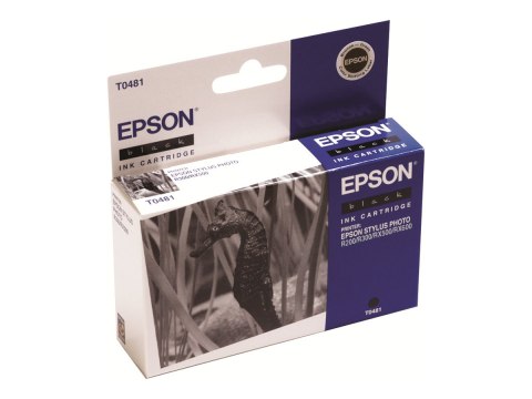 Epson T0481 - 13 ml - czarny - oryginał - kopuła - pojemnik na tusz - dla Stylus DX3800; Stylus Photo R200, R220, R300, R320, R3