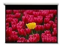 Optoma Panoview DE-9120EGA - Ekran projekcyjny - produkt z silnikiem - 120" (305 cm) - 16:9 - matowa biel - dla Optoma H117ST, H