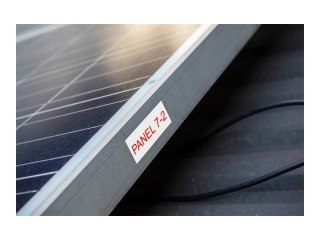 Brother TZe-262 - Czerwono-biały - Roll (3,6 cm x 8 m) 1 kaseta(y) taśma laminowana - dla P-Touch PT-3600, 550, 9200, 9400, 9500