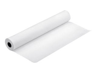 Epson Proofing Paper - Półmatowa - powłoka żywiczna - 9,9 mil - biały - Rolka (111,8 cm x 30,5 m) - 225 g/m² - 1 rolki papier gu