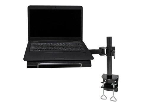 Neomounts NOTEBOOK-D100 - Zestaw do montażu - pełny zakres ruchu - dla laptop - czarny - rozmiar ekranu: 10"-22" - montaż na biu
