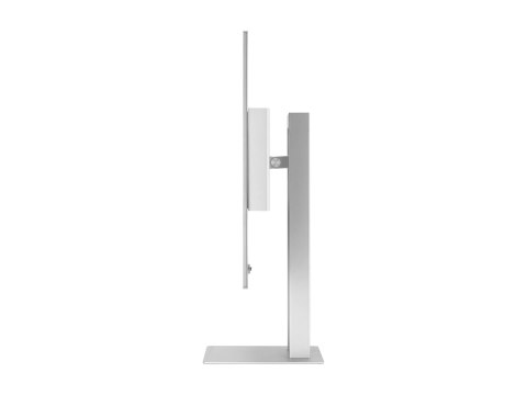 ASUS ProArt PA27UCDMR - Monitor OLED - 27" (26.5" widoczny) - 3840 x 2160 4K @ 240 Hz - 1000 cd/m² - 1500000:1 - HDR10 - 0.1 ms 