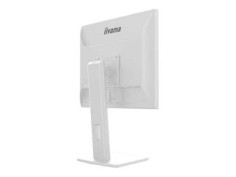 Iiyama ProLite B1980S-W1 - Monitor LED - 19" - 1280 x 1024 @ 75 Hz - TN - 250 cd/m² - 1000:1 - 3 ms - HDMI, DisplayPort - głośni