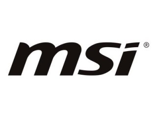 MSI PRO MP251L E2 - Monitor LED - 25" (24.5" widoczny) - 1920 x 1080 Full HD (1080p) @ 120 Hz - IPS - 250 cd/m² - 1500:1 - 1 ms 