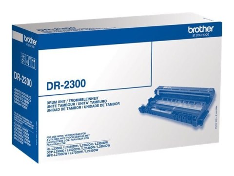 Brother DR2300 - Oryginał - Bęben - dla Brother DCP-L2500D, DCP-L2540DN, DCP-L2560DW, HL-L2360DN, HL-L2365DW, MFC-L2700DN