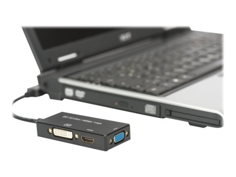 ASSMANN - Adapter wideo - DisplayPort 20-pin męski do 15 pin D-Sub (DB-15), HDMI, DVI-D żeński - 20 cm - potrójnie ekranowany - 