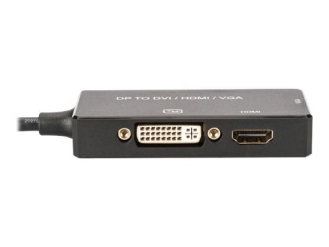 ASSMANN - Adapter wideo - DisplayPort 20-pin męski do 15 pin D-Sub (DB-15), HDMI, DVI-D żeński - 20 cm - potrójnie ekranowany - 