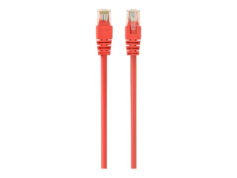 Gembird - Kabel krosowy - RJ-45 (M) do RJ-45 (M) - 1 m - CAT 5e - odlewany - czerwony