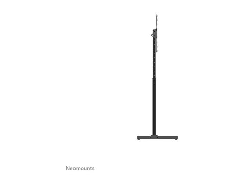 Neomounts NS-FS100 - Stojak - nachylenie - dla wyświetlacz LCD - czarny - rozmiar ekranu: 10"-55" - element podłogowy