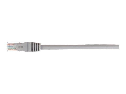 Netrack - Kabel krosowy - RJ-45 (M) do RJ-45 (M) - 1 m - UTP - CAT 6 - odlewany, bez wystających elementów - szary