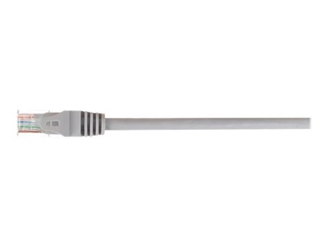 Netrack - Kabel krosowy - RJ-45 (M) do RJ-45 (M) - 2 m - UTP - CAT 6 - odlewany, bez wystających elementów - szary