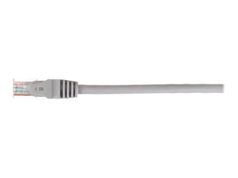 Netrack - Kabel krosowy - RJ-45 (M) do RJ-45 (M) - 25 m - UTP - CAT 5e - odlewany, bez wystających elementów, nieruchomy - szary