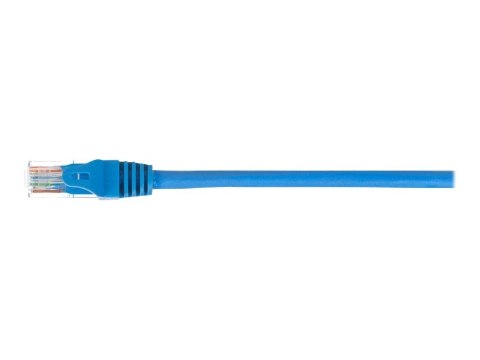 Netrack - Kabel krosowy - RJ-45 (M) do RJ-45 (M) - 3 m - UTP - CAT 5e - odlewany, bez wystających elementów - niebieski