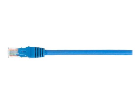 Netrack - Kabel krosowy - RJ-45 (M) do RJ-45 (M) - 5 m - UTP - CAT 6 - odlewany, bez wystających elementów - niebieski