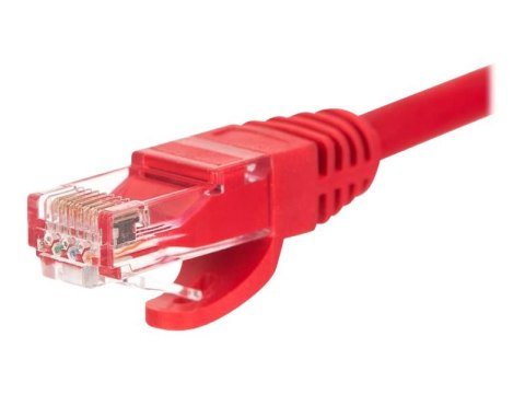 Netrack - Kabel krosowy - RJ-45 (M) do RJ-45 (M) - 50 cm - UTP - CAT 5e - odlewany, bez wystających elementów - czerwony