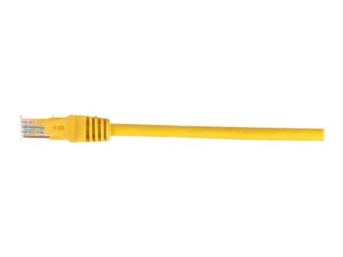 Netrack - Kabel krosowy - RJ-45 (M) do RJ-45 (M) - 50 cm - UTP - CAT 6 - odlewany, bez wystających elementów - żółty