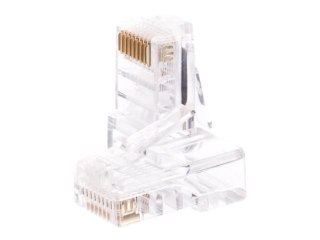 Netrack - Złącze sieciowe - RJ-45 (M) - UTP - CAT 5e - bezbarwny (pakiet 100)