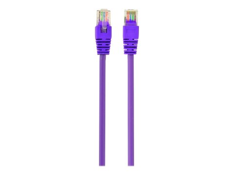 Gembird - Kabel krosowy - RJ-45 (M) do RJ-45 (M) - 2 m - UTP - CAT 5e - odlewany - purpurowy