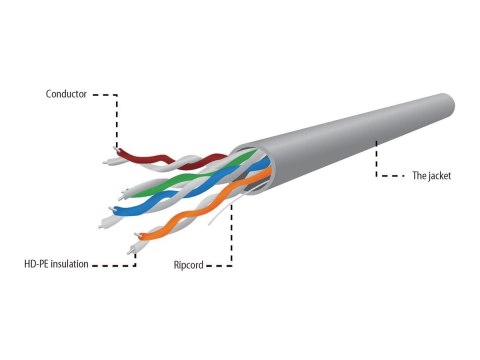 Gembird - Zwój kabla - 304.8 m - UTP - CAT 5e - trwały - szary