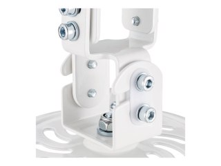 LogiLink - Uchwyt - dla projektor - aluminium, stal - biały - montaż na suficie