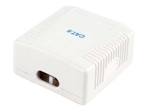Cablexpert - Gniazdko informatyczne - CAT 6 - FTP - RJ-45 X 2 - biały