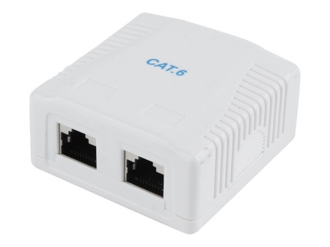 Cablexpert - Gniazdko informatyczne - CAT 6 - FTP - RJ-45 X 2 - biały