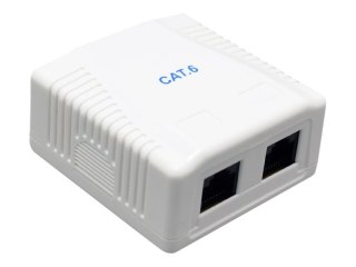 Cablexpert - Gniazdko informatyczne - CAT 6 - UTP - RJ-45 X 2 - biały