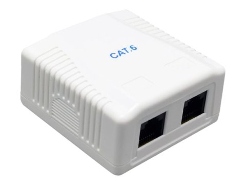 Cablexpert - Gniazdko informatyczne - CAT 6 - UTP - RJ-45 X 2 - biały