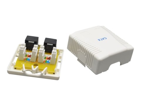 Cablexpert - Gniazdko informatyczne - CAT 6 - UTP - RJ-45 X 2 - biały