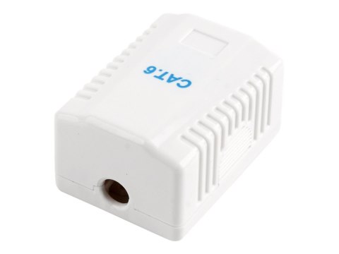 Cablexpert - Gniazdko informatyczne - CAT 6 - UTP - RJ-45 - biały