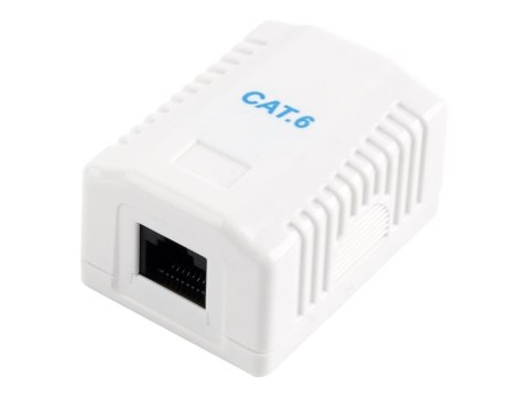 Cablexpert - Gniazdko informatyczne - CAT 6 - UTP - RJ-45 - biały