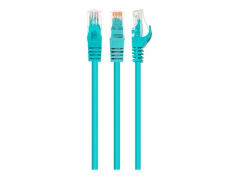 Cablexpert - Kabel krosowy - RJ-45 (M) do RJ-45 (M) - 2 m - UTP - CAT 6 - odlewany, nieruchomy - zielony