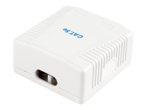 Cablexpert NCAC-2F5E-01 - Gniazdko informatyczne - CAT 5e - FTP - RJ-45 X 2 - biały