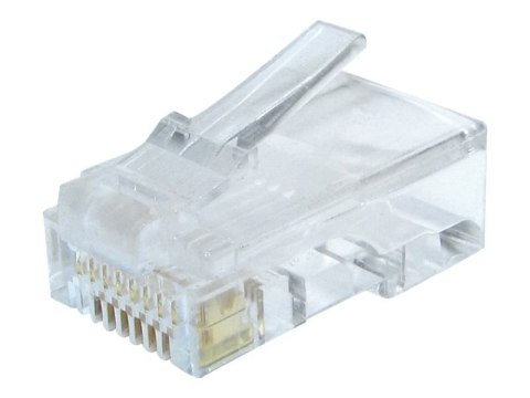 Cablexpert - Złącze sieciowe - RJ-45 (M) - CAT 6 (pakiet 100)