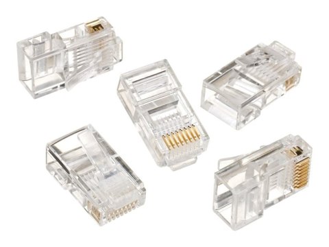 Cablexpert - Złącze sieciowe - RJ-45 (M) - nieekranowana - CAT 5 (pakiet 50)