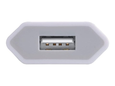 TECHly Compact Charger - Zasilacz - 5 wat - 1 A (USB) - biały - Włochy