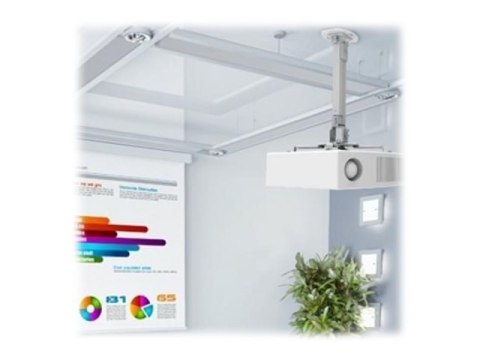 TECHly - Uchwyt - dla projektor - aluminium, stal - srebrny - montaż na suficie